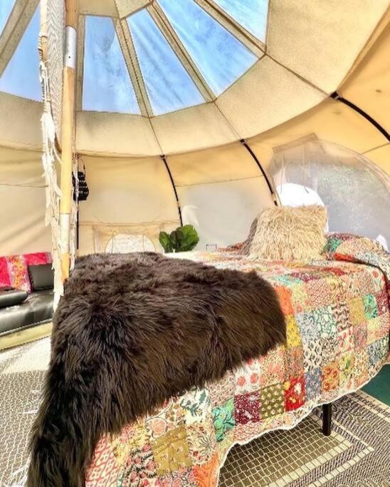 The Pisces-A Stargazing, Luxury Glamping Tent Rogersville ภายนอก รูปภาพ